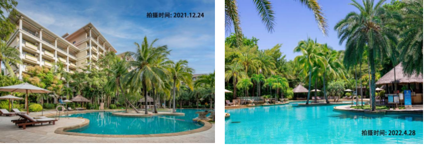 海南省气候治疗和康养协会 海南省气候治疗和康养协会