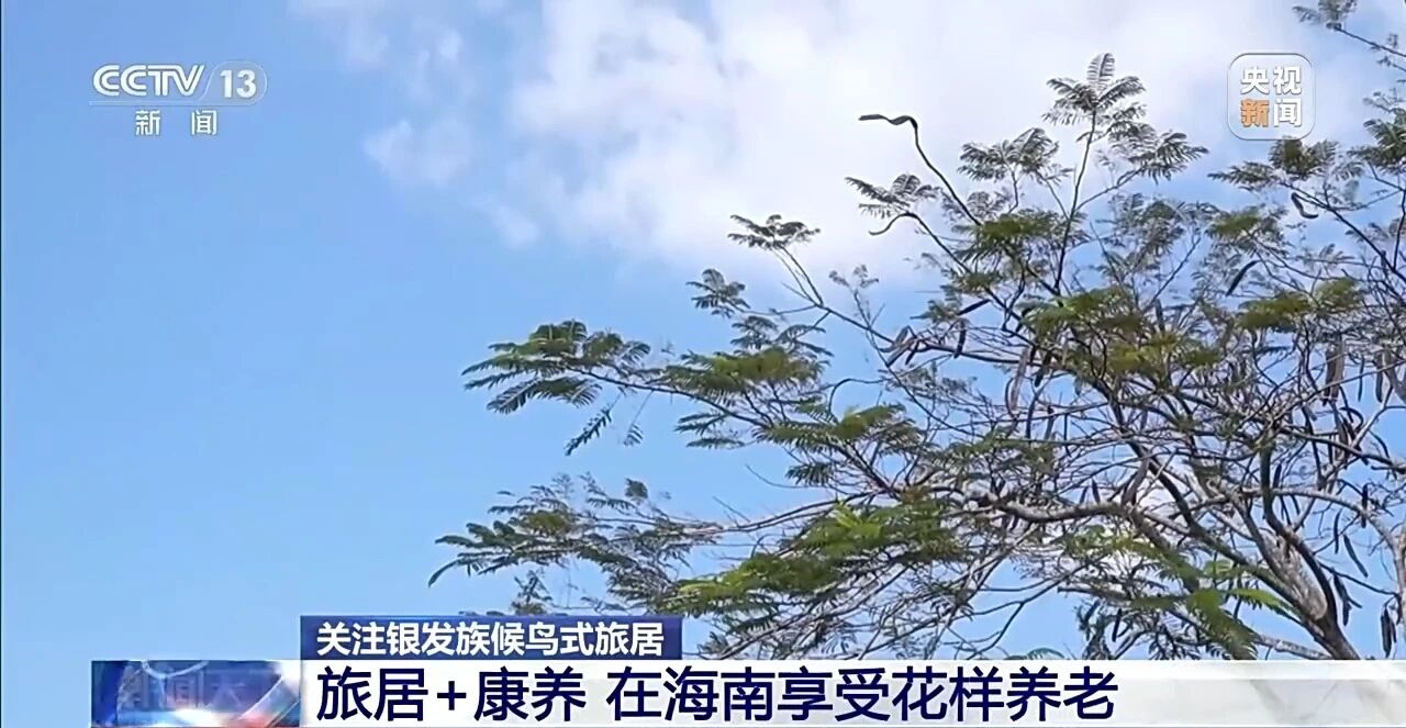 1770036969571085.jpg 微信图片_2026-02-02_205504_930.jpg
