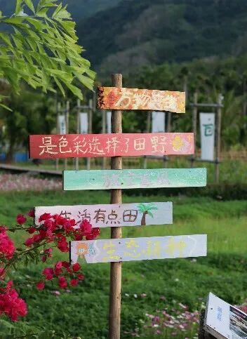 海南省气候治疗和康养协会 图片