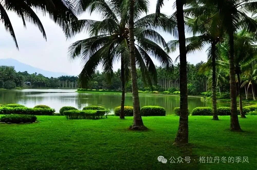 海南省气候治疗和康养协会 图片