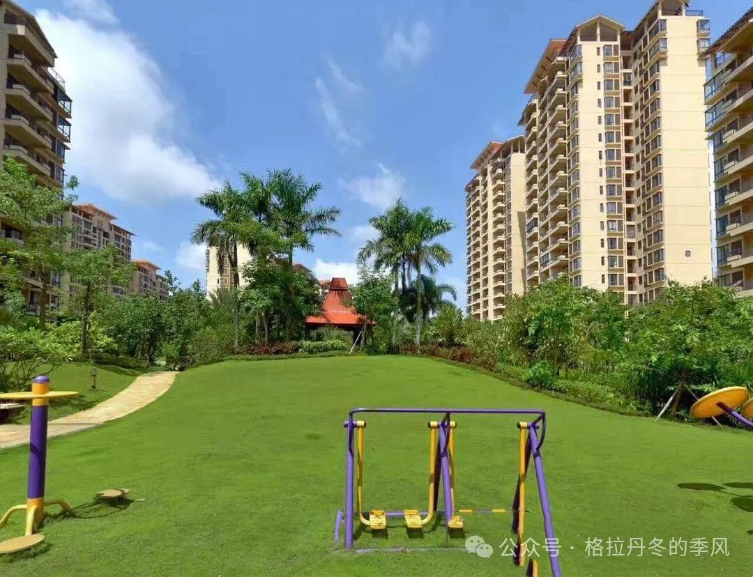 海南省气候治疗和康养协会 图片