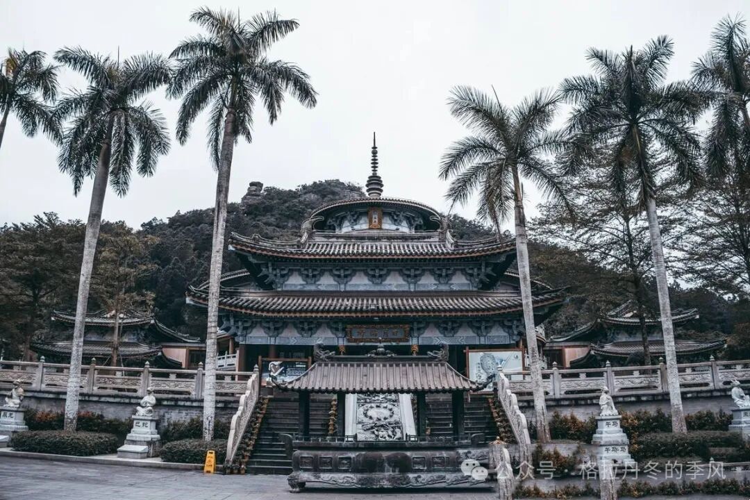 海南省气候治疗和康养协会 图片