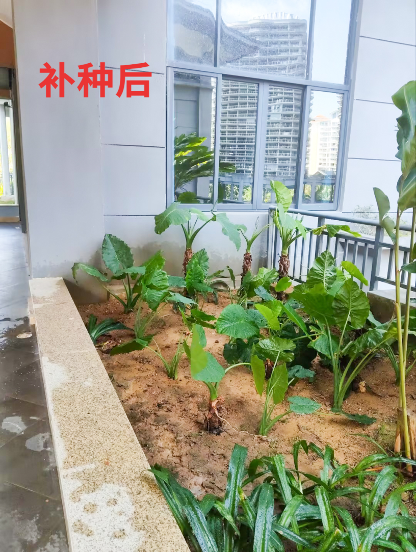 海南省气候治疗和康养协会 图片