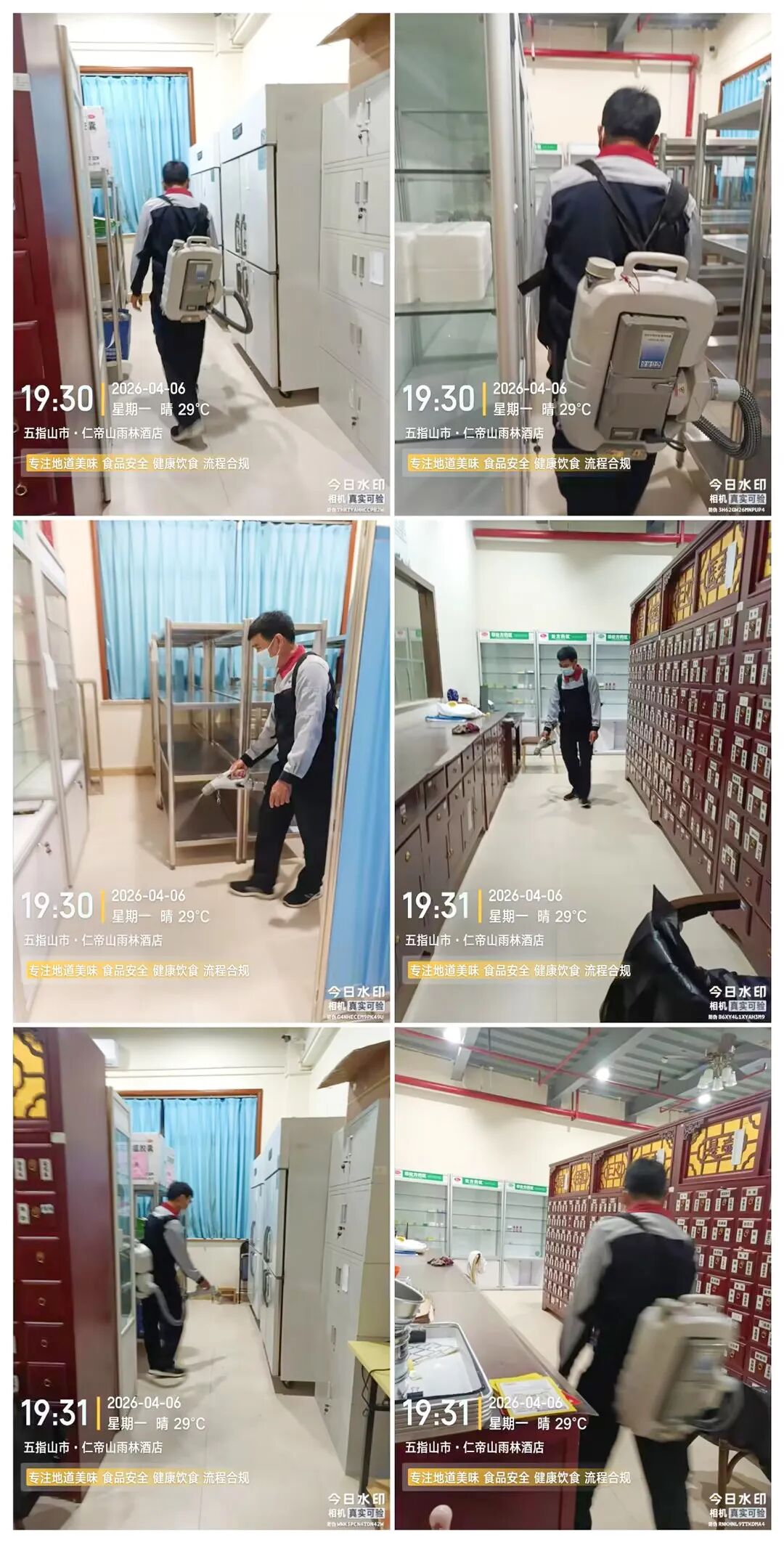 海南省气候治疗和康养协会 图片