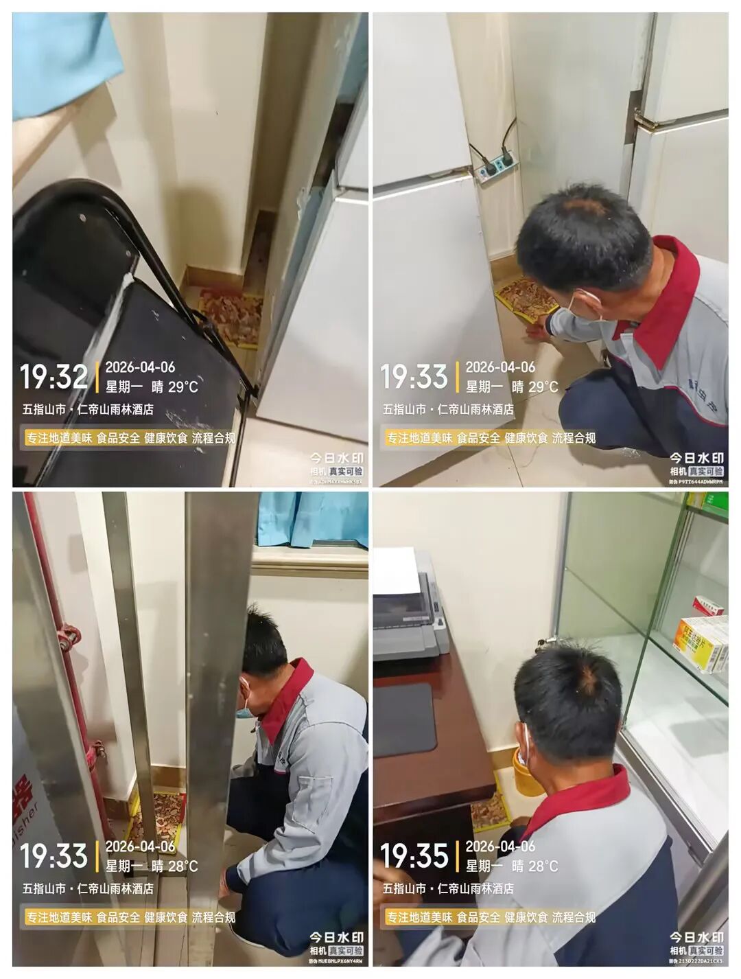 海南省气候治疗和康养协会 图片