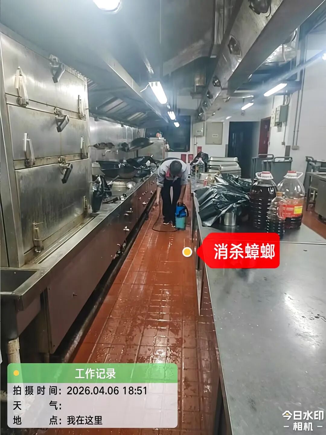 海南省气候治疗和康养协会 图片