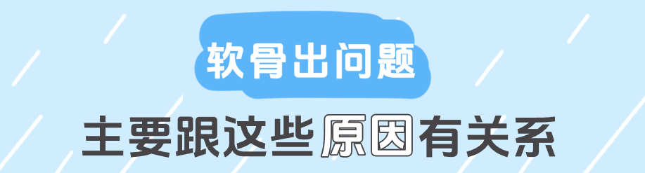 海南省气候治疗和康养协会 图片
