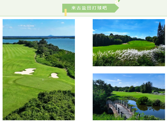 海南省气候治疗和康养协会 图片