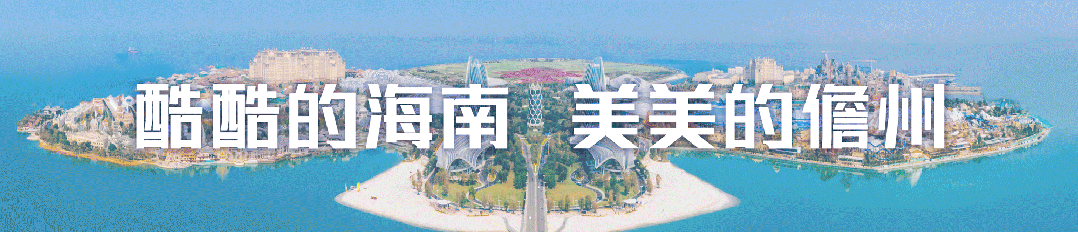 海南省气候治疗和康养协会 图片