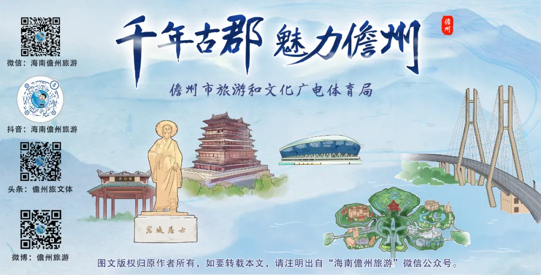 海南省气候治疗和康养协会 图片