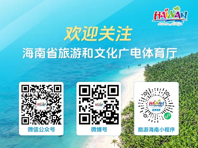 海南省气候治疗和康养协会 图片