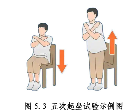 海南省气候治疗和康养协会 图片