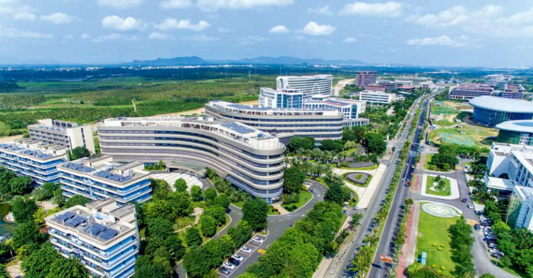 海南省气候治疗和康养协会 图片