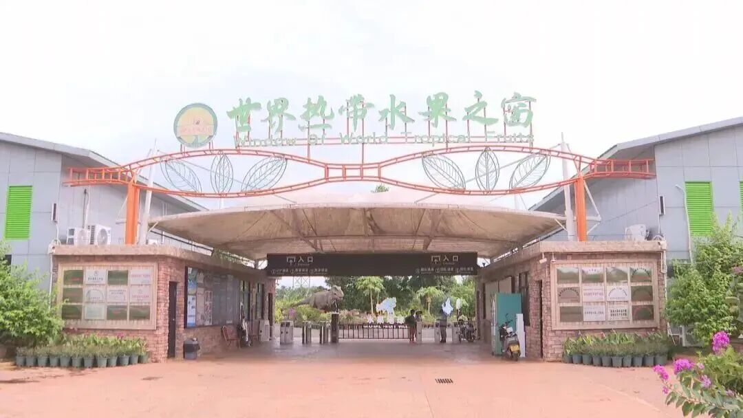 海南省气候治疗和康养协会 图片