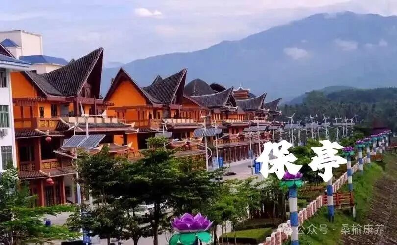 海南省气候治疗和康养协会 图片