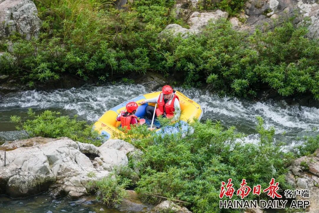 海南省气候治疗和康养协会 图片