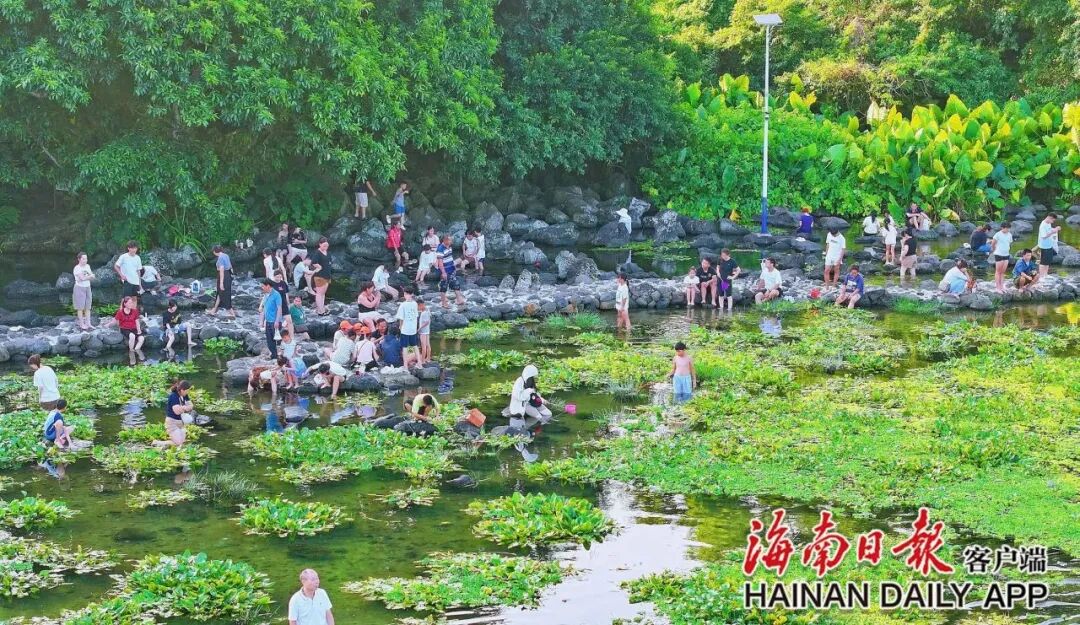 海南省气候治疗和康养协会 图片