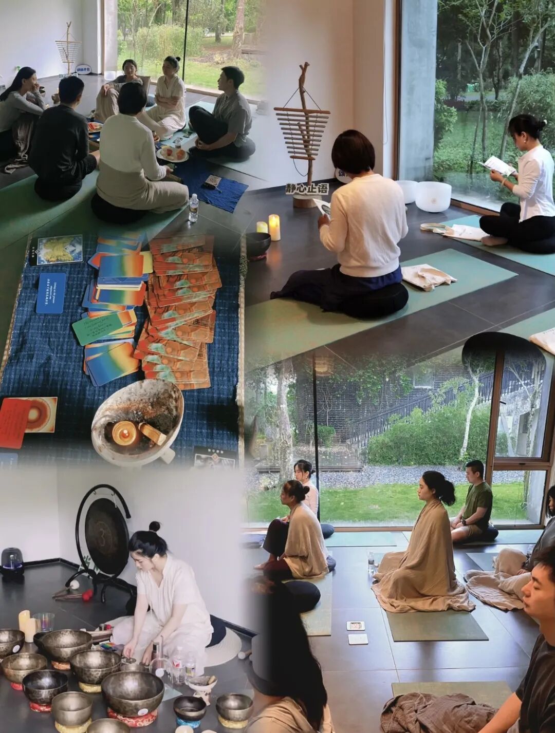 海南省气候治疗和康养协会 图片