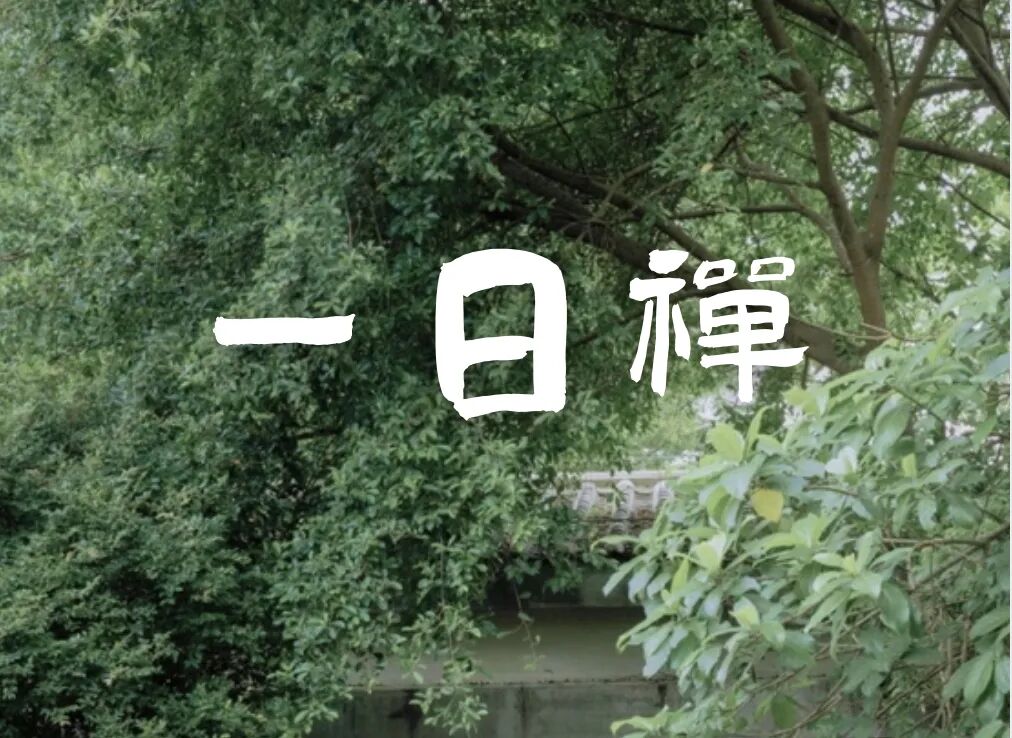 海南省气候治疗和康养协会 图片