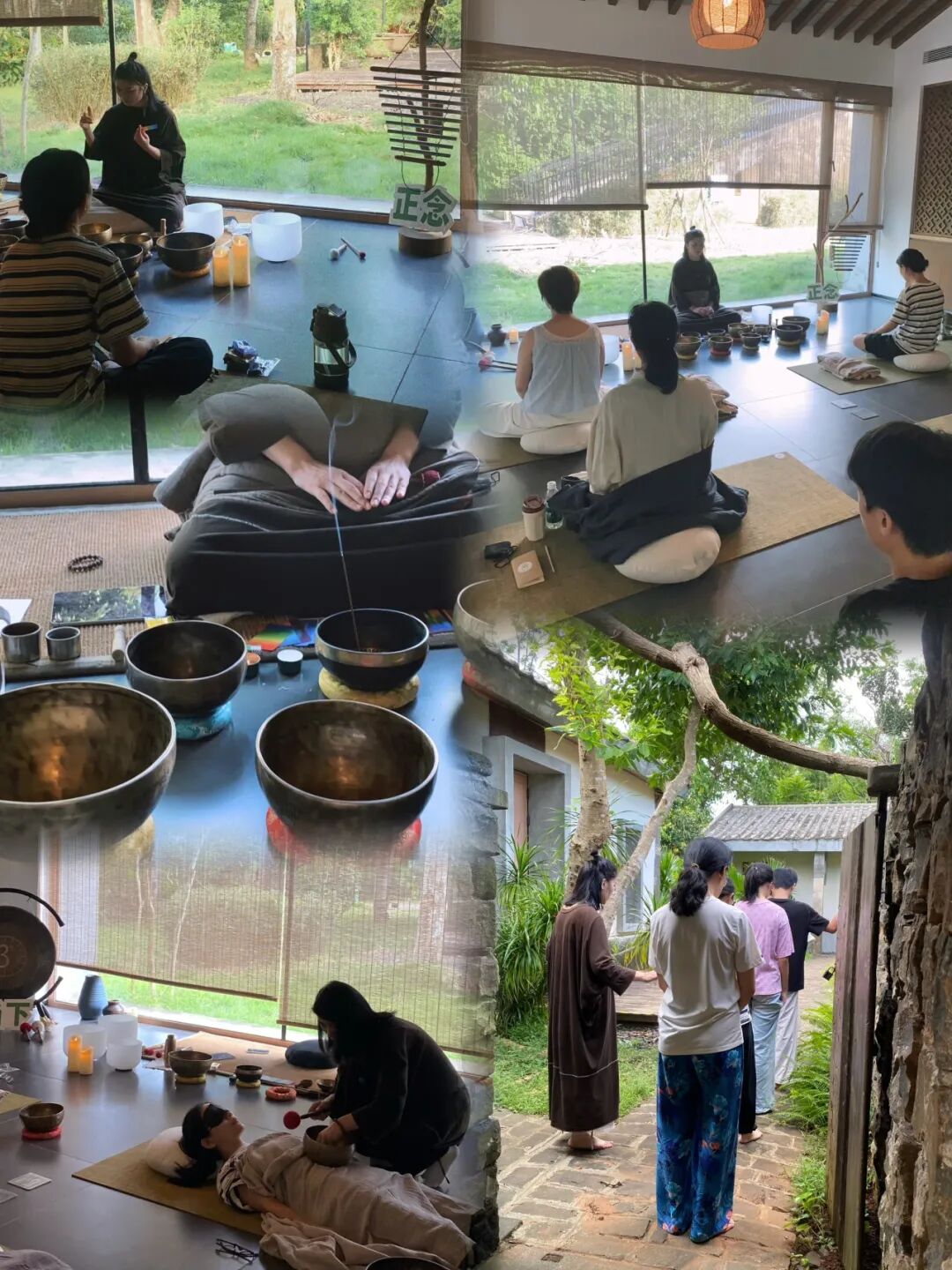 海南省气候治疗和康养协会 图片