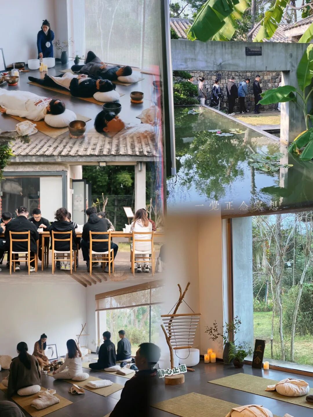 海南省气候治疗和康养协会 图片