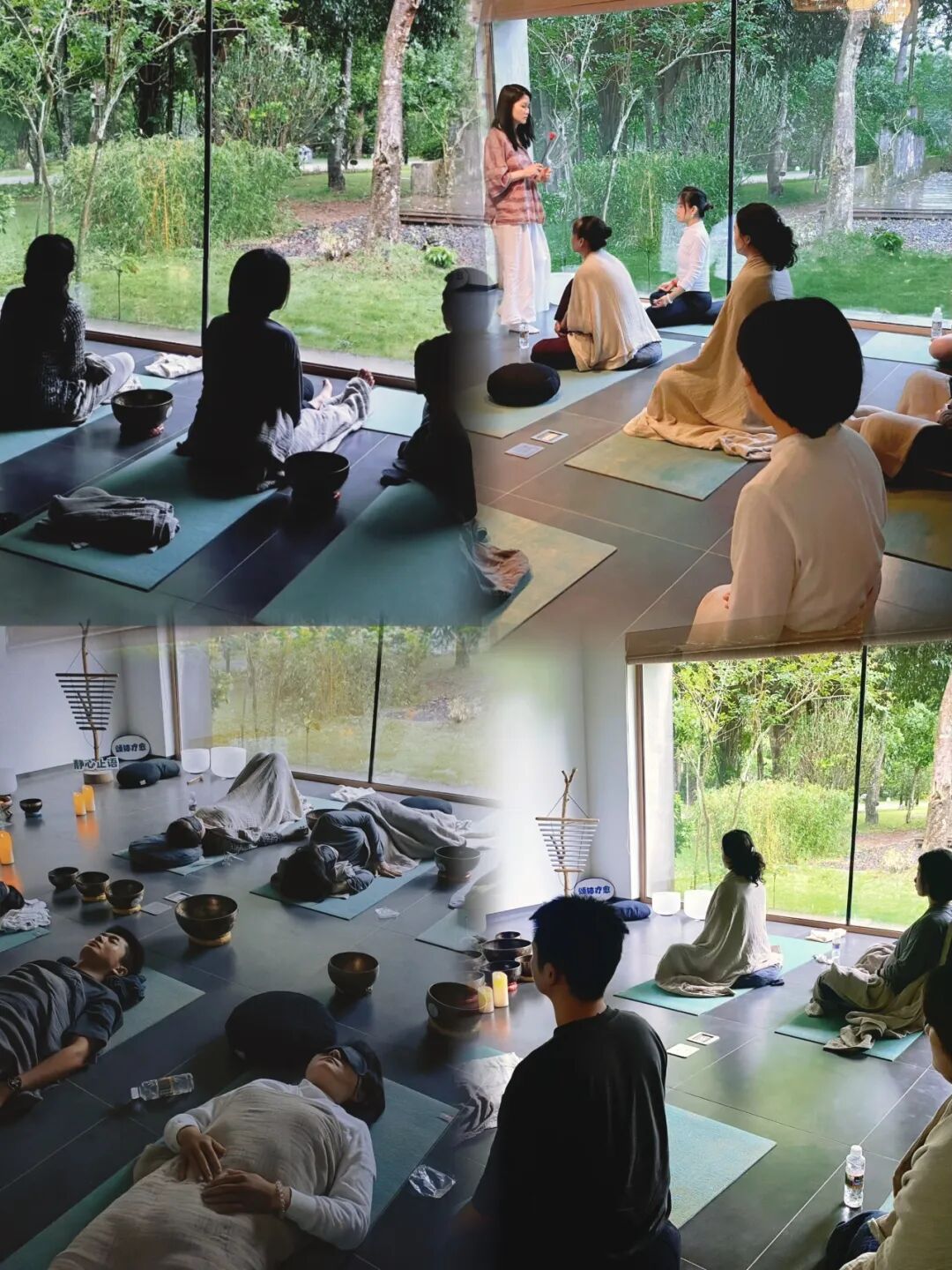 海南省气候治疗和康养协会 图片