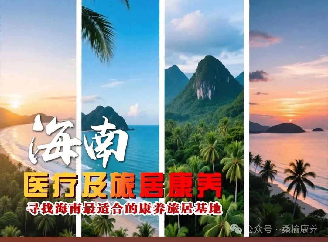 海南省气候治疗和康养协会 图片