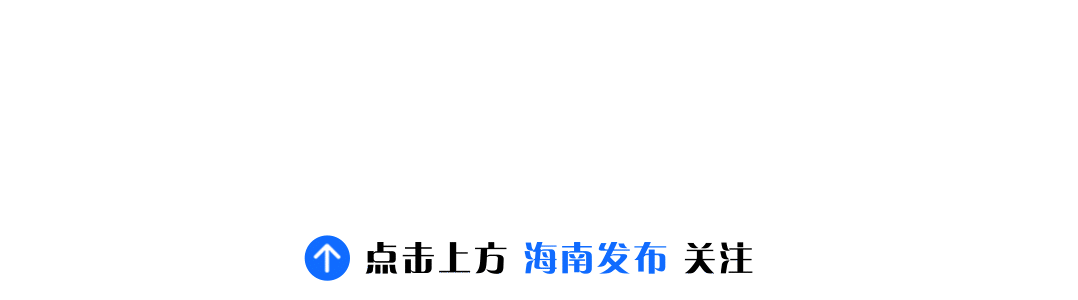 海南省气候治疗和康养协会 图片