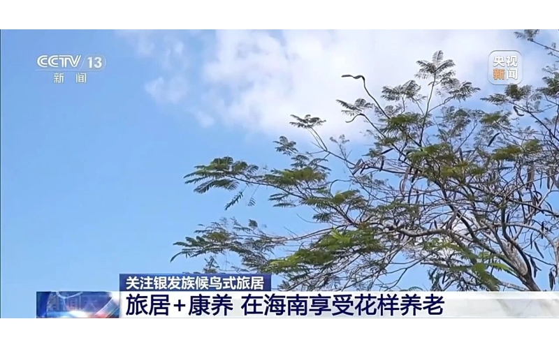 央视关注：旅居+康养！在海南享受花样养老