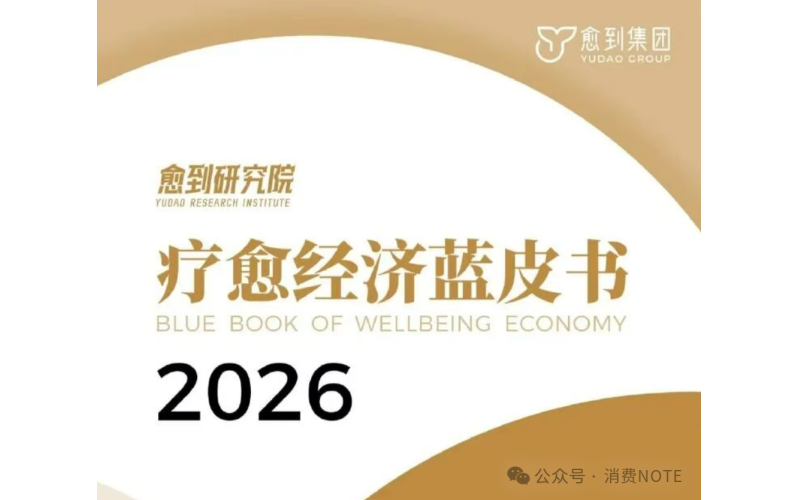 2026疗愈经济蓝皮书 我国疗愈需求用户达8.4亿