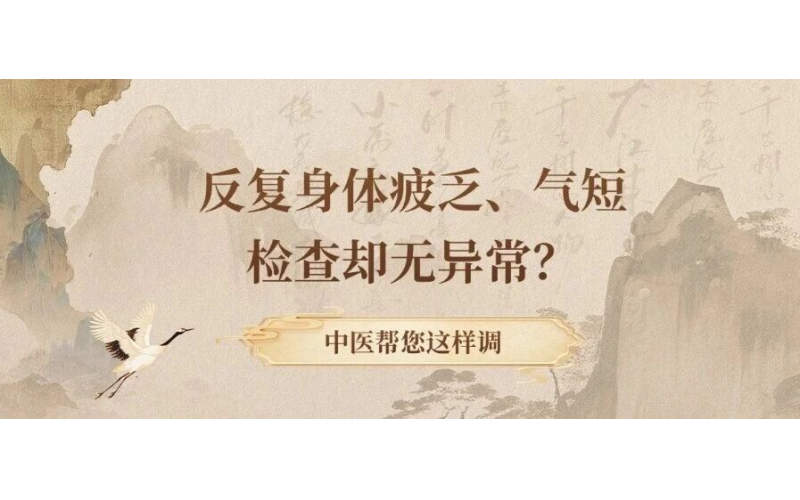 反复身体疲乏、气短，检查却无异常？中医帮您这样调