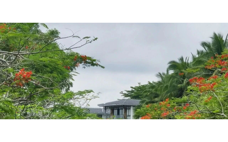 正式落地｜藏在山水间的高端生命养护秘境，邂逅松弛疗愈时光