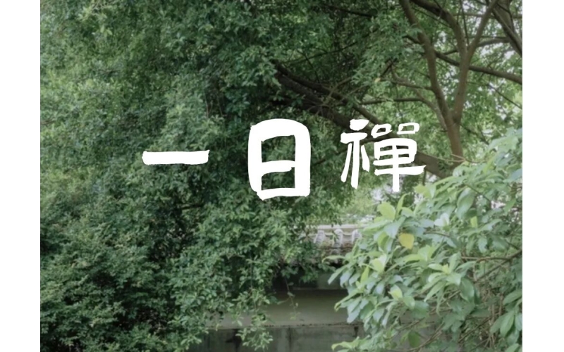 海口周末静心去哪儿-属于城市人的一日静修放松身心